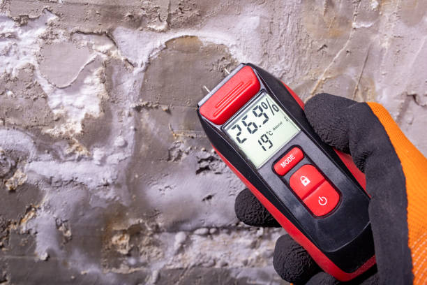 Best Affordable Mold Removal  in Crenshaw, MS