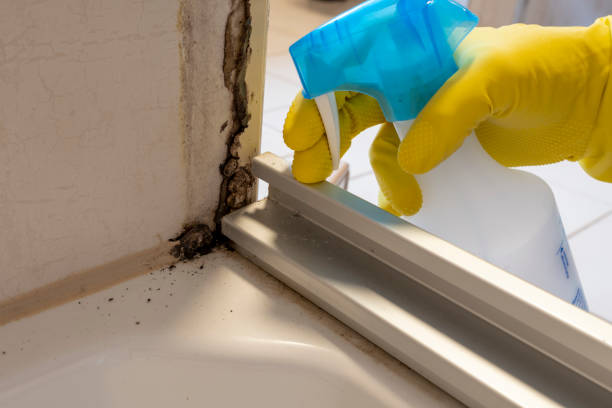 Best Mold Remediation  in Crenshaw, MS