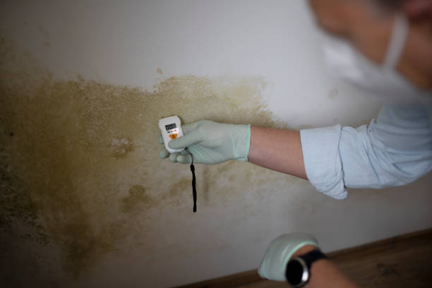 Best Mold Cleaning Services  in Crenshaw, MS