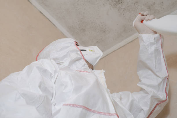 Best Mold Inspection  in Crenshaw, MS