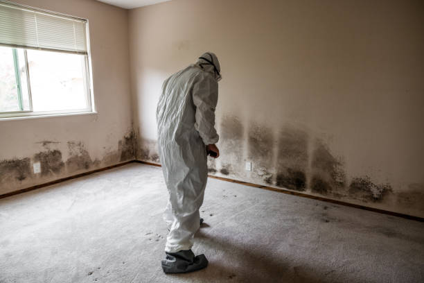 Best Commercial Mold Removal  in Crenshaw, MS