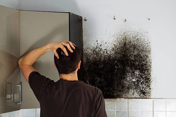 Best Professional Mold Removal  in Crenshaw, MS