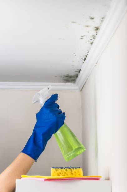 Best Mold Removal Near Me  in Crenshaw, MS